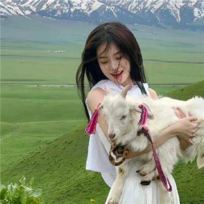 少年师爷之知礼万事通 在线观看